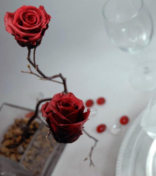preserved roses 1in burgundy red 15 roses