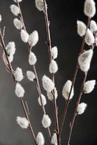 12 artificial pussy willow branches 31 in