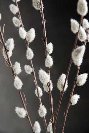 12 artificial pussy willow branches 31 in