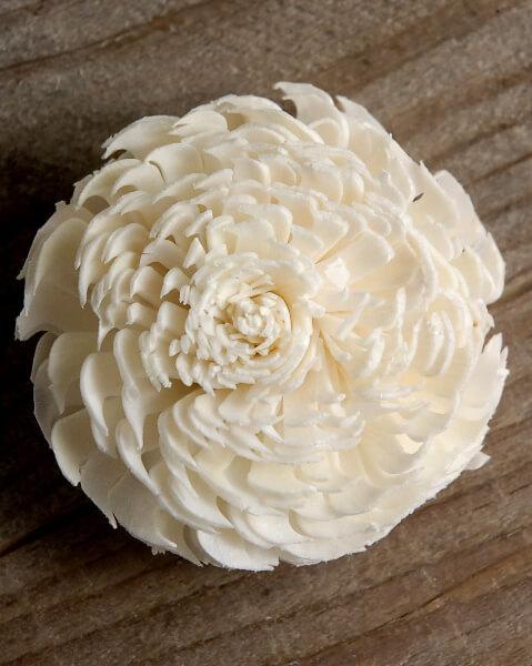 sola flowers 2 2 5 cream white chorki 12 flowers