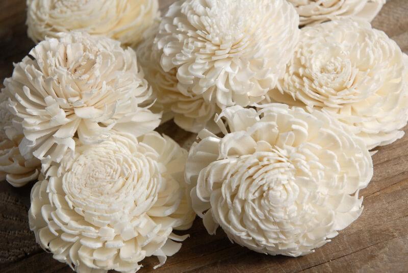 sola flowers 2 2 5 cream white chorki 12 flowers
