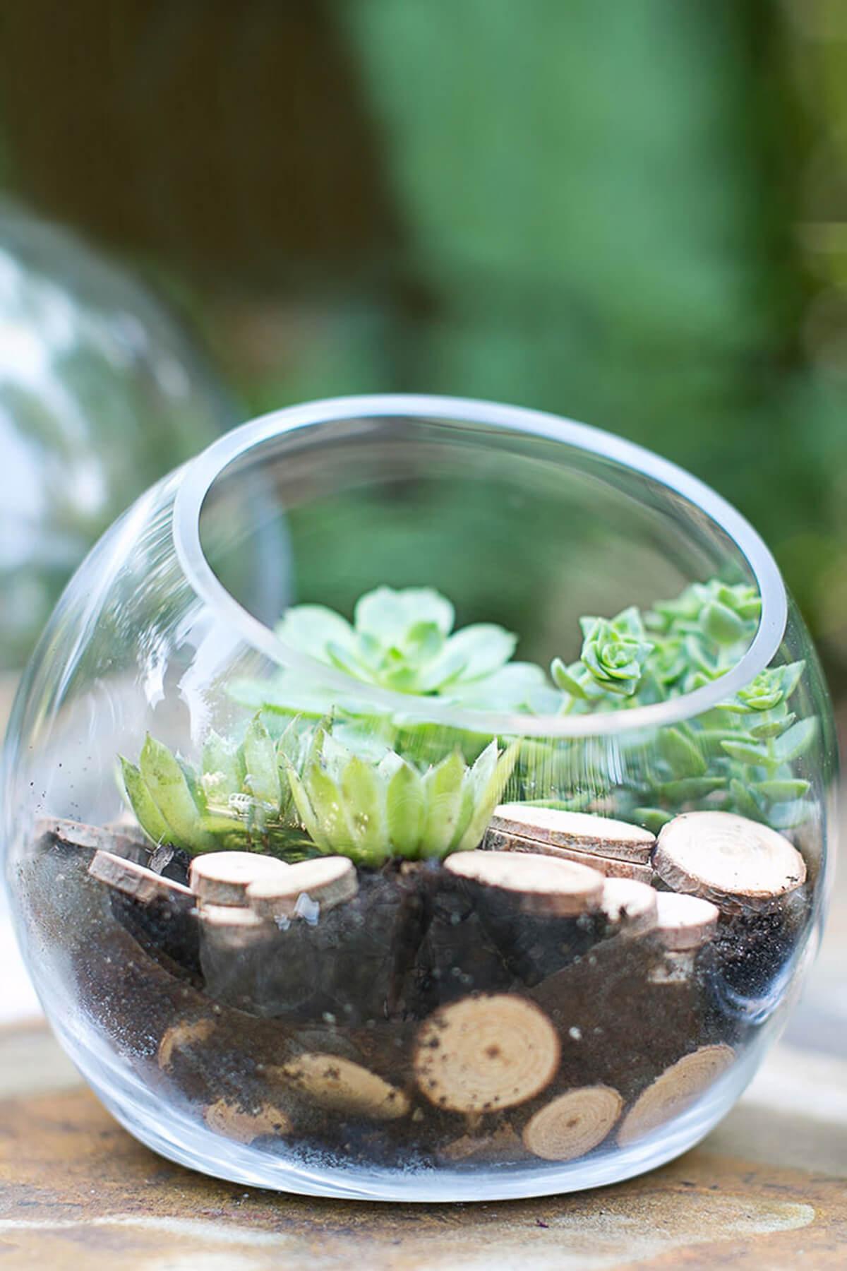 Studio Glass Terrarium & Candleholder Bowl  7.5 x 7