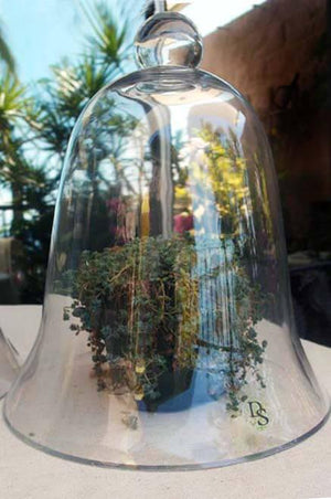 thick glass bell jar 11 1 2