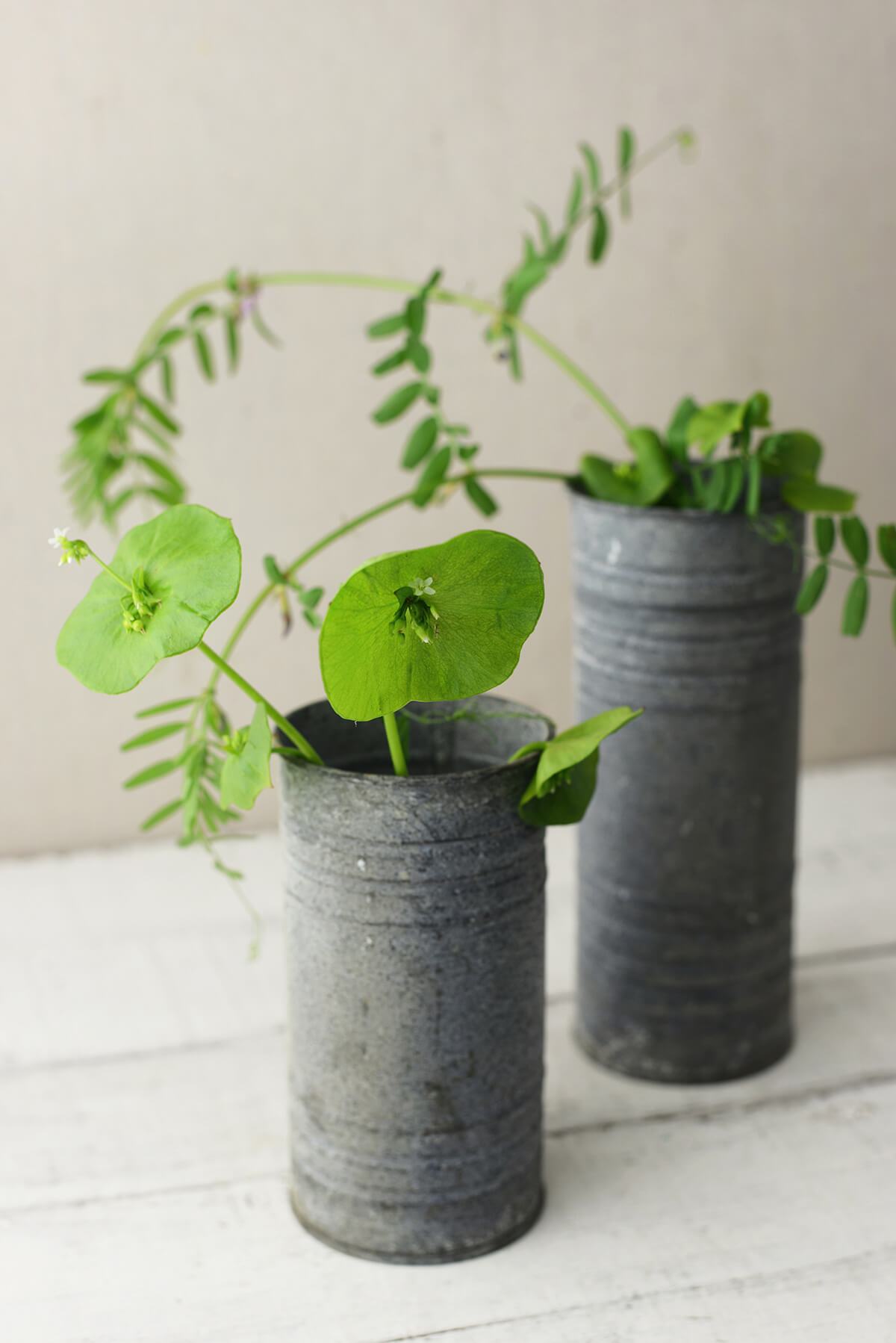 Zinc Cylinder Vase & Pillar Candle Holder 6" Success