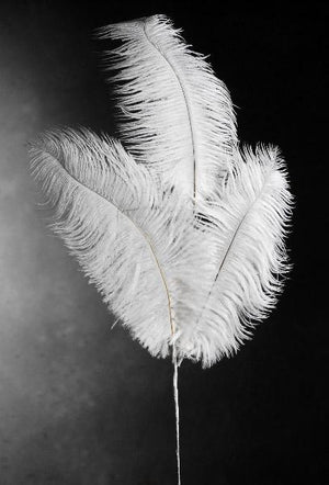 3 White Ostrich Feathers on Wire Stem 9in